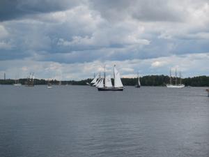 <img300*0:stuff/z/558/558laivatrefs/P7212014.JPG>