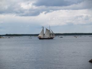 <img300*0:stuff/z/558/558laivatrefs/P7212117.JPG>