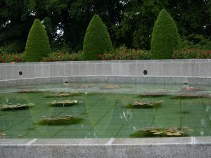 <img300*0:stuff/z/558/Photos%2520of%2520a%2520garden/P6213020.JPG>