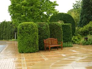 <img300*0:stuff/z/558/Photos%2520of%2520a%2520garden/P6213055.JPG>