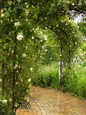 <img300*0:stuff/z/558/Photos%2520of%2520a%2520garden/P6213059.JPG>