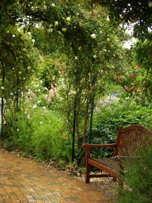<img300*0:stuff/z/558/Photos%2520of%2520a%2520garden/P6213060.JPG>