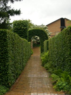 <img300*0:stuff/z/558/Photos%2520of%2520a%2520garden/P6213068.JPG>