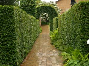 <img300*0:stuff/z/558/Photos%2520of%2520a%2520garden/P6213069.JPG>