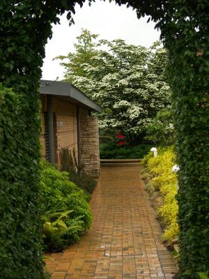 <img300*0:stuff/z/558/Photos%2520of%2520a%2520garden/P6213073.JPG>