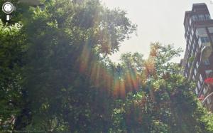<img300*0:stuff/z/558/Rainbows%2520on%2520Park%2520Ave/parkAve09.jpg>