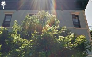 <img300*0:stuff/z/558/Rainbows%2520on%2520Park%2520Ave/parkAve12.jpg>