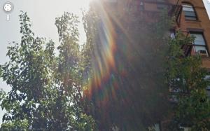 <img300*0:stuff/z/558/Rainbows%2520on%2520Park%2520Ave/parkAve13.jpg>
