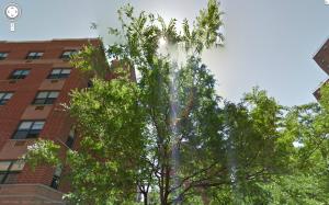 <img300*0:stuff/z/558/Rainbows%2520on%2520Park%2520Ave/parkAve14.jpg>