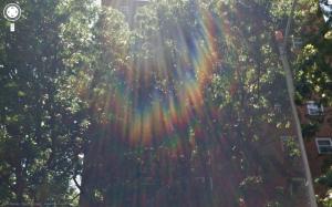<img300*0:stuff/z/558/Rainbows%2520on%2520Park%2520Ave/parkAve15.jpg>