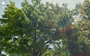 <img300*0:stuff/z/558/Rainbows%2520on%2520Park%2520Ave/parkAve17.jpg>