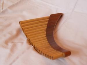 <img300*0:stuff/z/558/iippoinstrumentsfaff/PA108633.JPG>