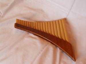 <img300*0:stuff/z/558/iippoinstrumentsfaff/PA108647.JPG>