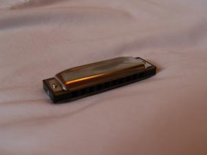 <img300*0:stuff/z/558/iippoinstrumentsfaff/PA108649.JPG>