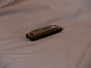 <img300*0:stuff/z/558/iippoinstrumentsfaff/PA108652.JPG>