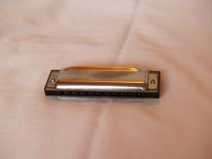 <img300*0:stuff/z/558/iippoinstrumentsfaff/PA108656.JPG>