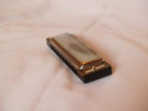 <img300*0:stuff/z/558/iippoinstrumentsfaff/PA108657.JPG>