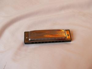 <img300*0:stuff/z/558/iippoinstrumentsfaff/PA108663.JPG>