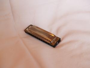 <img300*0:stuff/z/558/iippoinstrumentsfaff/PA108673.JPG>