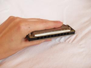 <img300*0:stuff/z/558/iippoinstrumentsfaff/PA108684.JPG>