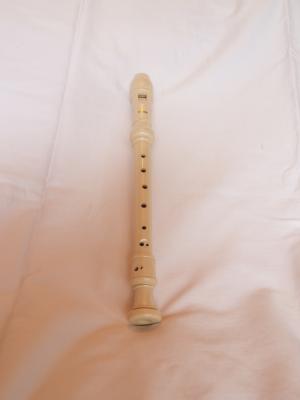 <img300*0:stuff/z/558/iippoinstrumentsfaff/PA108705.JPG>