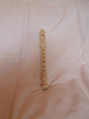 <img300*0:stuff/z/558/iippoinstrumentsfaff/PA108706.JPG>