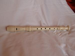<img300*0:stuff/z/558/iippoinstrumentsfaff/PA108710.JPG>