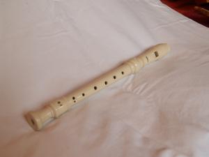 <img300*0:stuff/z/558/iippoinstrumentsfaff/PA108716.JPG>
