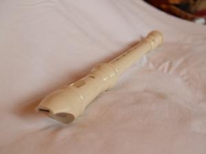 <img300*0:stuff/z/558/iippoinstrumentsfaff/PA108723.JPG>