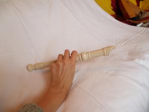 <img300*0:stuff/z/558/iippoinstrumentsfaff/PA108726.JPG>