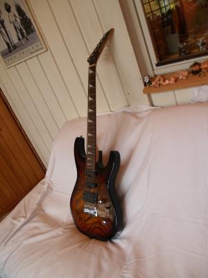 <img300*0:stuff/z/558/iippoinstrumentsfaff/PA108742.JPG>