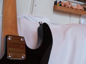 <img300*0:stuff/z/558/iippoinstrumentsfaff/PA108762.JPG>