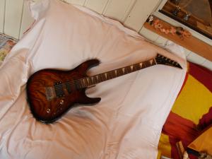 <img300*0:stuff/z/558/iippoinstrumentsfaff/PA108766.JPG>