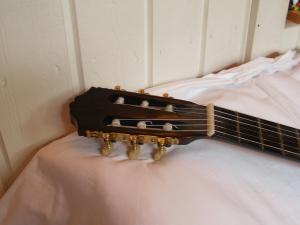 <img300*0:stuff/z/558/iippoinstrumentsfaff/PA108836.JPG>