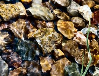 <img0*250:stuff/z/57131/Citrine%2527s%2520Water%2520References/i1244747654_4.jpg>