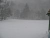 <img100*0:stuff/z/59031/Flisk%253a%2520Snow%2520Reference/i1292256116_1.jpg>