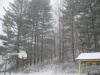 <img100*0:stuff/z/59031/Flisk%253a%2520Snow%2520Reference/i1292256117_10.jpg>