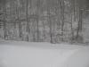 <img100*0:stuff/z/59031/Flisk%253a%2520Snow%2520Reference/i1292256117_11.jpg>