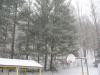 <img100*0:stuff/z/59031/Flisk%253a%2520Snow%2520Reference/i1292256117_8.jpg>