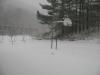 <img100*0:stuff/z/59031/Flisk%253a%2520Snow%2520Reference/i1292256118_13.jpg>