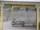 Flisk: Snow Reference