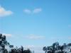 <img100*0:stuff/z/59031/flisky%2527s%2520temp%25203/i1284995937_9.jpg>