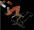 <img0*30:stuff/z/61513/...of%2520dream%2520and%2520drama%2520in%2520progress/odadwip%20(7).jpg>