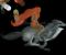 <img0*50:stuff/z/61513/...of%2520dream%2520and%2520drama%2520in%2520progress/odadwip%20(9).jpg>