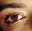 <img0*100:stuff/z/61513/Backg/DSC00747.JPG>