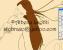<img0*50:stuff/z/61513/Expecting%2520Fairy%2520WIP/expfairywip04.jpg>