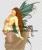 <img0*50:stuff/z/61513/Expecting%2520Fairy%2520WIP/expfairywip10.jpg>