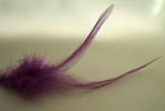 <img0*100:stuff/z/61513/Feather%2520Stock%2520by%2520Squee/FeathersSquee%20(1).JPG>