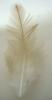 <img0*100:stuff/z/61513/Feather%2520Stock%2520by%2520Squee/FeathersSquee%20(11).jpg>