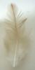 <img0*100:stuff/z/61513/Feather%2520Stock%2520by%2520Squee/FeathersSquee%20(12).jpg>